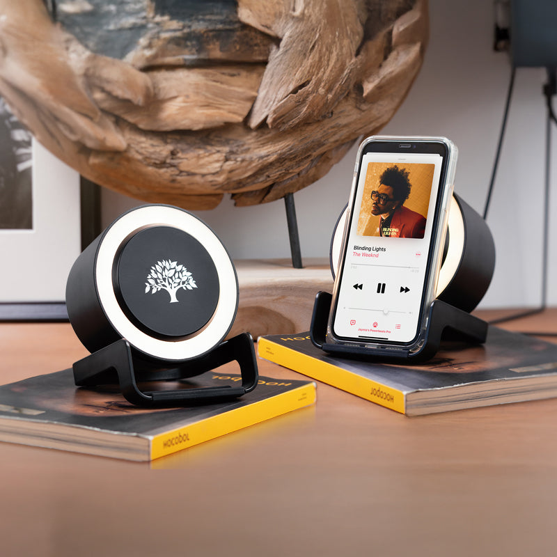 4270 Siyah Wireless Şarj & Hoparlör