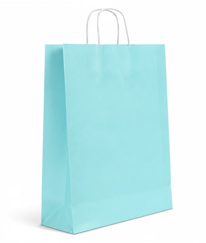 Burgu Saplı Renkli Kraft Kağıt Çanta Min 1000 Adet(Özelleştirilebilir)